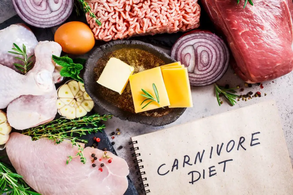 How to Start a Carnivore Diet