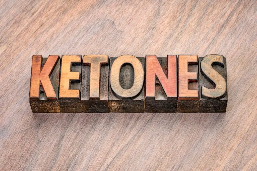 Does a Carnivore Diet Put You in Ketosis
