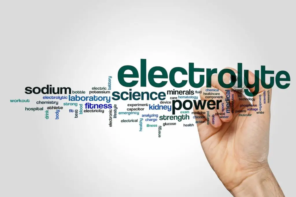 All the different electrolytes and how to get them, how processed and more descriptive words - How Long to Adapt to a Carnivore Diet