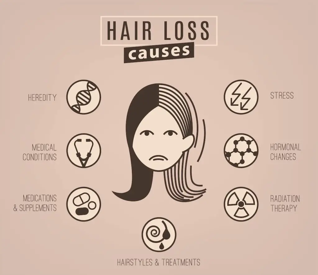 Infographic - What Are Some Carnivore Diet Hair Loss Causes