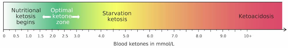 Nutritional ketosis bar showing range to ketoacidosis - Does a Carnivore Diet Put You in Ketosis