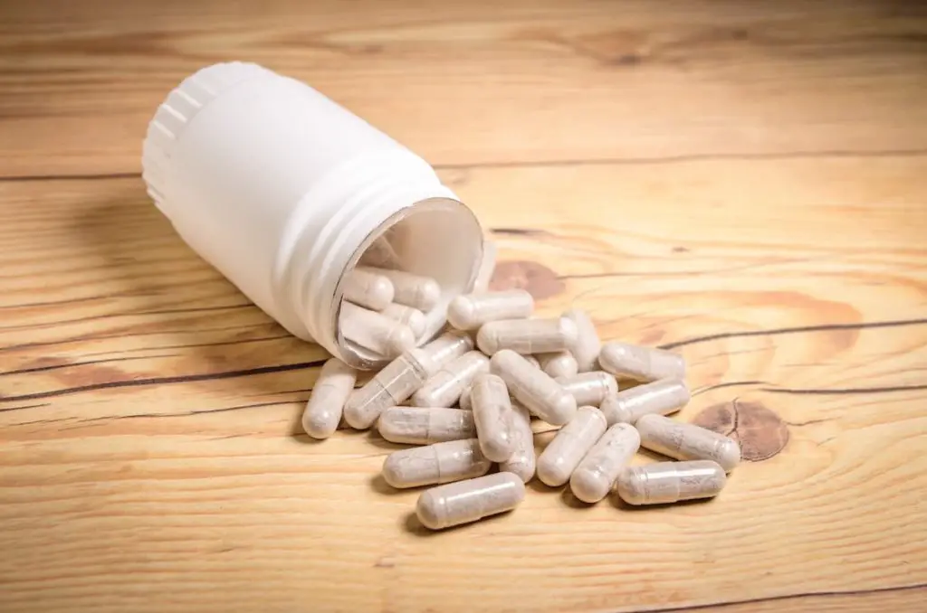 medicine in pill form - Bone Meal Powder Supplement