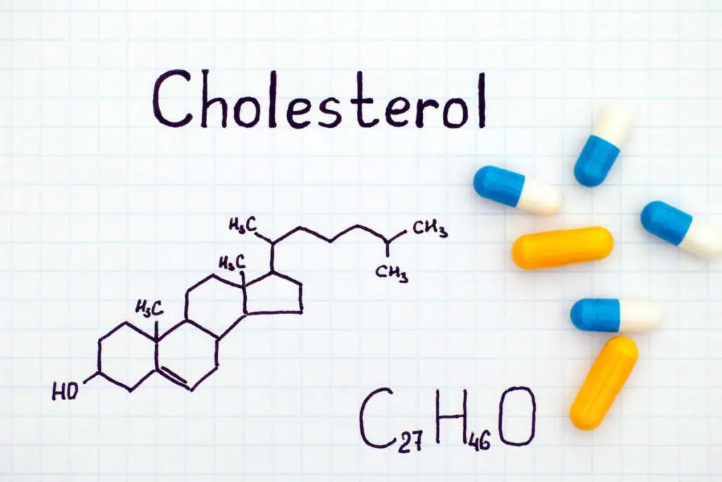 Chemical Makeup of Cholesterol - How Does the Carnivore Diet Affect Cholesterol