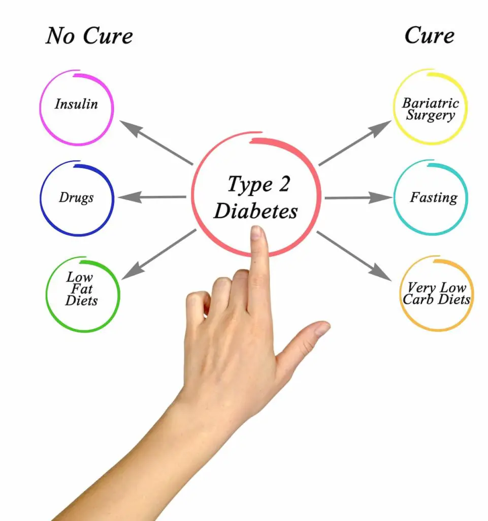 Curing for Type 2 Diabetes - Does a Carnivore Diet Cause Diabetes