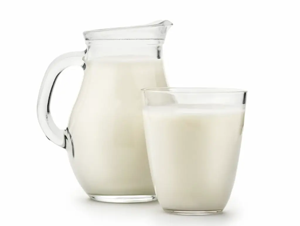 Natural whole milk in a jug and a glass isolated on a white background closeup - Can You Drink Milk on the Carnivore Diet