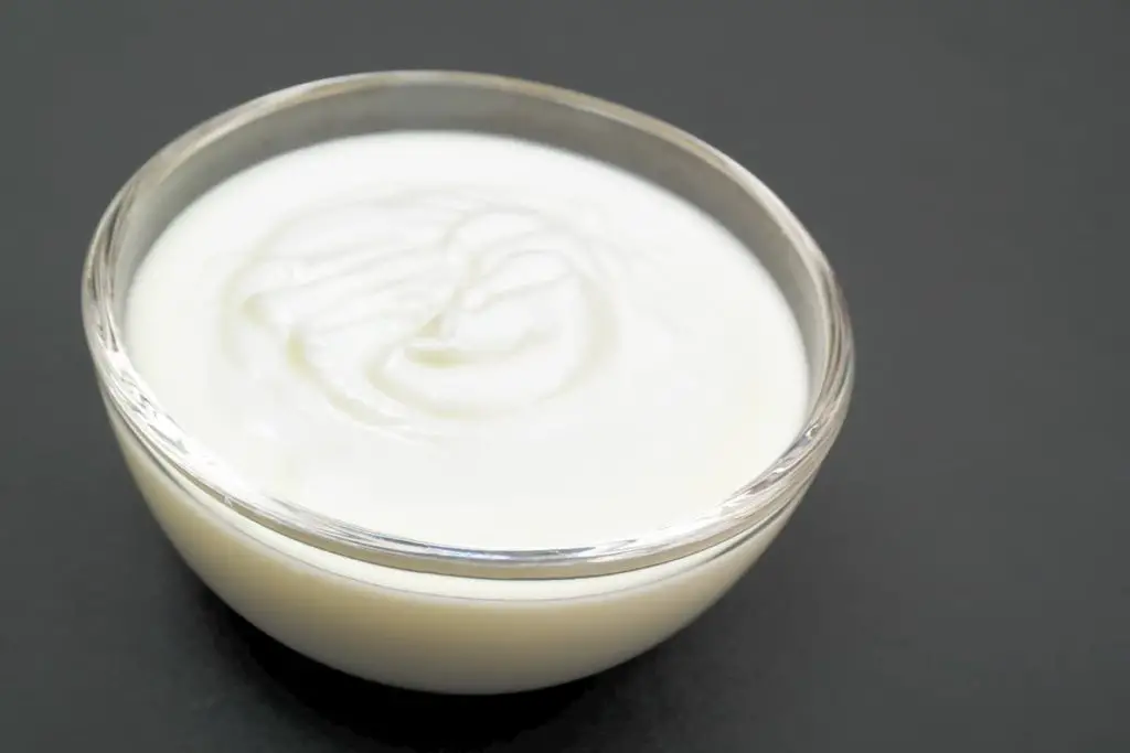 Plain white yogurt in a bowl - focus on the front - Can You Drink Milk on the Carnivore Diet