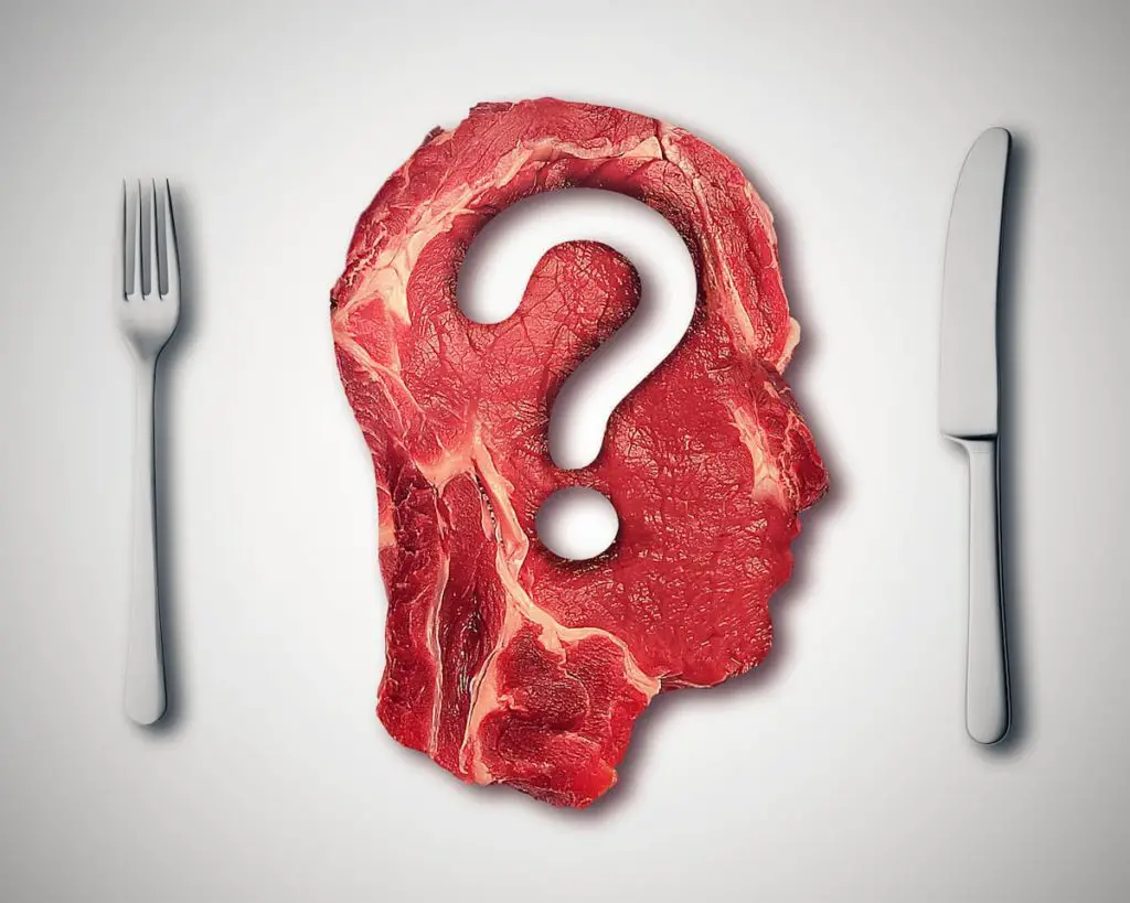 meat with a question mark in it - What is World Carnivore Month