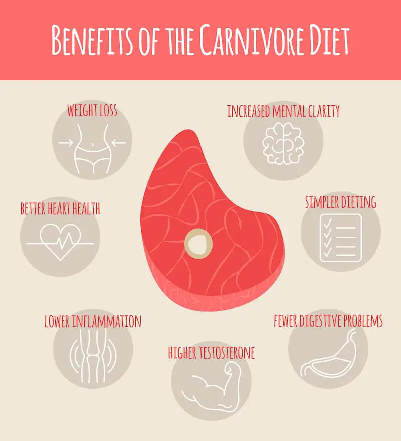 Benefits of Carnivore Diet - Carnivore Diet Eating Plan