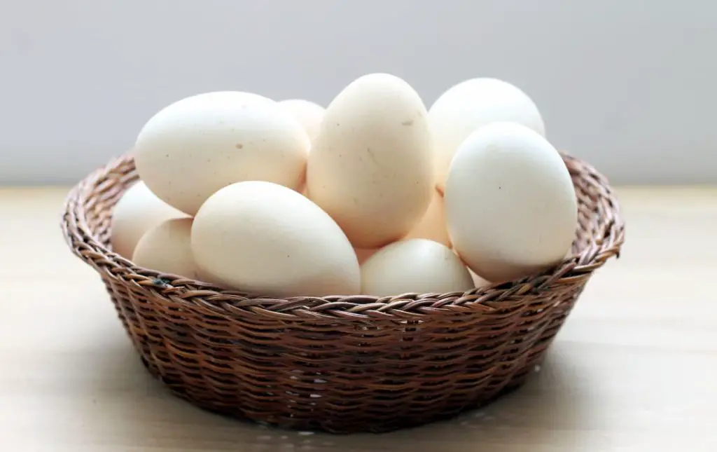 Eggs in a basket - Is a Chicken Egg Considered Carnivore? Are Eggs Meat?