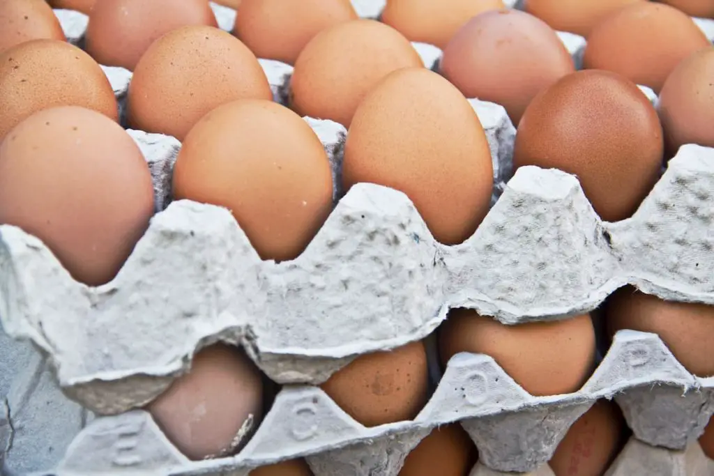 Eggs on the egg tray - Is a Chicken Egg Considered Carnivore? Are Eggs Meat?